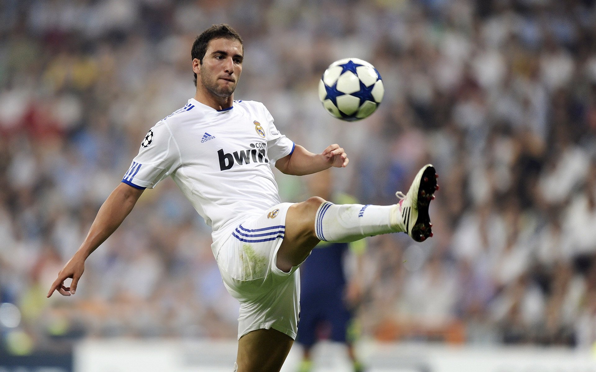 “南非羚羊队队员萨尔·巴赫:球场外的低调人生”