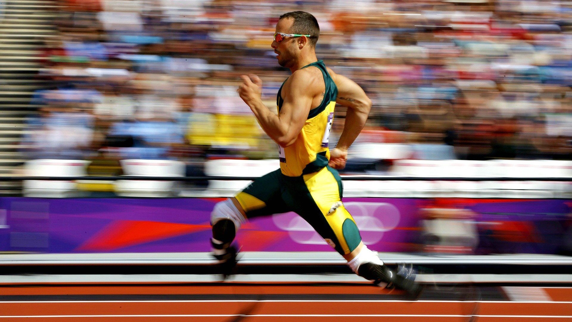 体育新闻中心热点报道持续更新,体育新闻近期